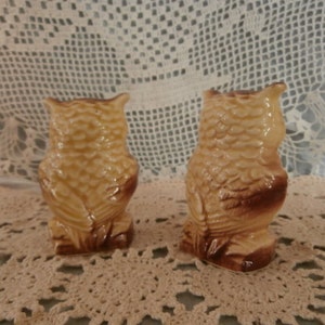 May include: Two ceramic owl ornaments. The owls are in a sitting position, with a light tan body and brown accents. The ornaments have a glossy finish and are placed on a cream-coloured, lace-like surface.