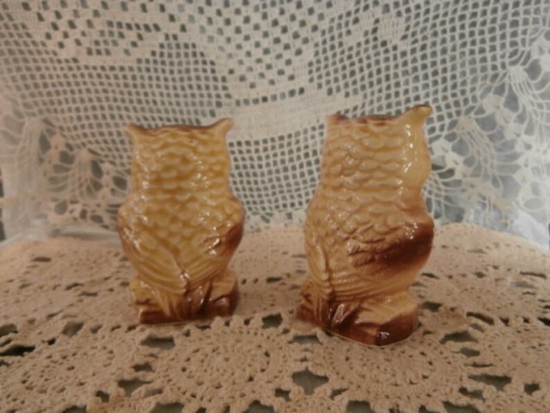 May include: Two ceramic owl ornaments. The owls are in a sitting position, with a light tan body and brown accents. The ornaments have a glossy finish and are placed on a cream-coloured, lace-like surface.