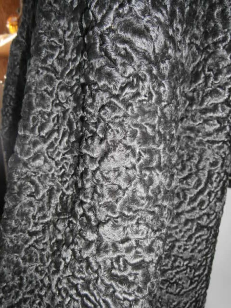 Black Persian Curly Lamb With Mink Collar 1960's Ferdinand & Roth ...