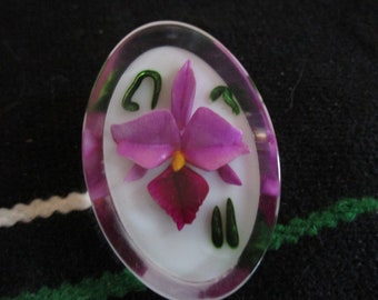 Real Cattleya Orchid Brooch Pin & Pendant Natural Turquoise very Rare Stunning! Real Cattleya Orchid Brooch Pin & Pendant Natural Turquoise very Rare Stunning!