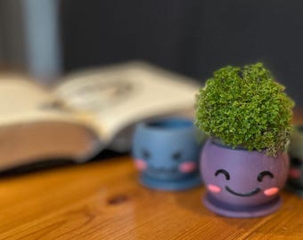 Macetas suculentas Kawaii sonrientes: Juego de macetas impresas en 3D