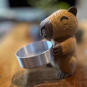 Capybara Schmuckhalter / Organizer - Schmuckschale mit Gold- oder Silberoptionen