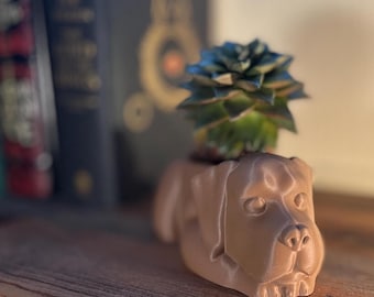 Maceta de Labrador Chocolate: Maceta para suculentas impresa en 3D, regalos para labradores