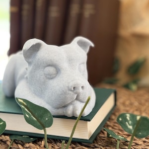Unique Planter: Staffordshire Bull Terrier - Succulent & Desk Companion for Dog Lovers