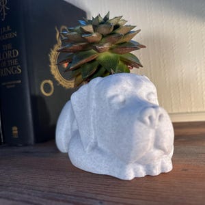 May include: White ceramic planter shaped like a dog, with a succulent plant growing out of the top.