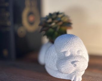 Maceta única: caniche: suculenta y compañera de escritorio para amantes de los perros