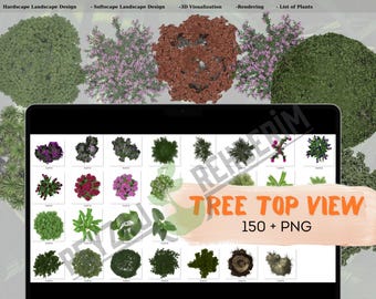 150+ Tree Plan Views: 2D Tree Designs (Digital Download)