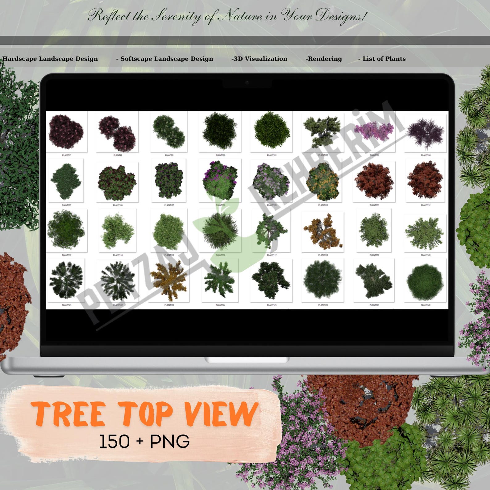 150+ Tree Plan Views: 2D Tree Designs (digital Download) - Etsy
