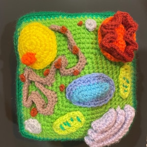 Crochet Plant Cell with Organelles – Handmade Scientific Model | Biology Gift | STEM Decor