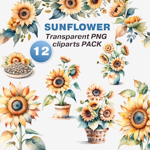 Watercolor sunflower Clipart Pack. 12 PNG Images with transparent background. Watercolor art style. Commercial use. Instant Download