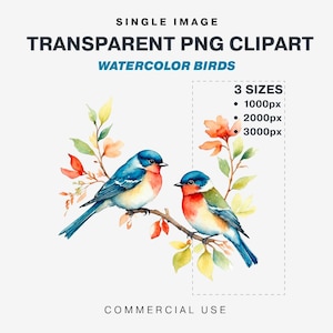 Liebe Vögel auf Ast Clipart mit transparentem Hintergrund | Ästhetische Aquarell Kunst Stil, PNG Datei, Instant Download