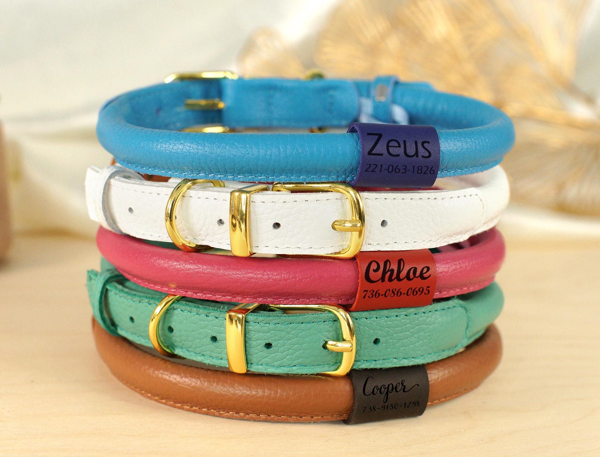 Interchangeable Dog Collar Charms Xs Beaded Dog Collar