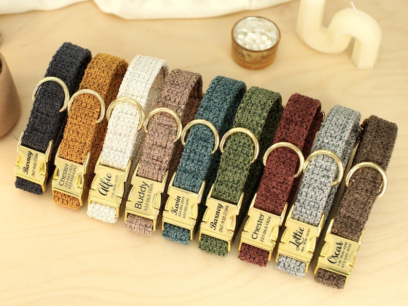 May include: A collection of personalized dog collars in various colors, including black, brown, white, and green. Each collar has a gold-colored buckle with a name and phone number engraved on it.