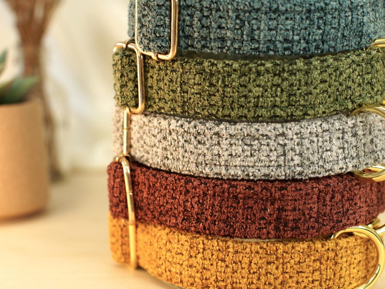 May include: A stack of five dog collars in various colors: teal, olive green, gray, rust, and mustard yellow. Each collar has a textured, plush appearance and is adorned with gold-colored metal hardware.