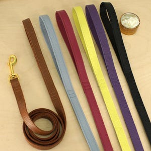 May include: Six dog leads in brown, light blue, magenta, yellow, purple, and black. Each lead features a textured surface, a loop handle, and a gold-toned metal swivel snap hook attached to the brown lead. The leads are arranged in a row.