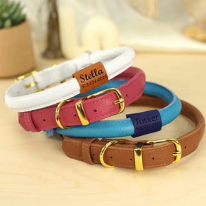 Könnte beinhalten: Drei Lederhundehalsbänder in Weiß, Rosa und Braun mit goldenen Beschlägen. Die Halsbänder haben personalisierte Namensschilder mit Telefonnummern. Das weiße Halsband trägt den Namen "Stella" und die Telefonnummer "773-624-0024". Das rosa Halsband trägt den Namen "Tucker" und die Telefonnummer "926-201-3973".