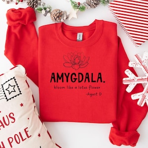 Mercancía BTS Suga Amygdala - Cuello redondo - Regalos para fans - Mercancía Kpop - Min Yoongi - Mercancía Agust D - Mercancía BTS - Camiseta KPOP