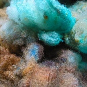 Pacifique Targhee Fleece Hand Dyed Spinning Felting Fiber image 2