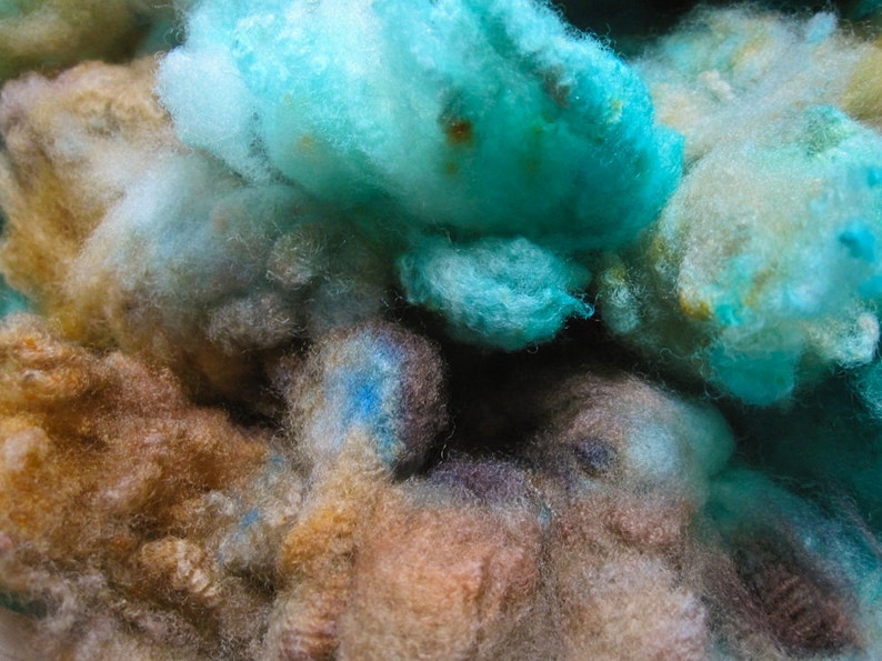 Pacifique Targhee Fleece Hand Dyed Spinning Felting Fiber image 2