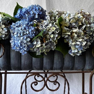 Op de afbeelding: Een rechthoekige, gegroefde plantenbak van donkergrijs metaal, gevuld met grote trossen blauwe en lichtgroene hortensiabloemen en groene bladeren, ondersteund door een bruine metalen standaard met decoratieve krullen en ronde handgrepen aan de zijkanten.