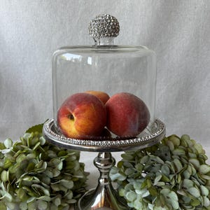 Può includere: Una campana di vetro trasparente con base color argento e pomello tempestato di cristalli. All'interno, tre pesche mature poggiano sul piatto color argento. Il fogliame verde circonda la base, creando un'esposizione decorativa.