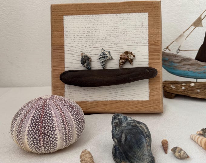 Treibholz Deko als Weihnachtsgeschenk. Deko skandinavisch als Wand Holz Deko. Ein Eichenschild als maritimes Wandbild Handmade. Boho Deko.