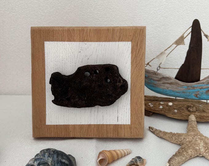 Treibholz Deko als Weihnachtsgeschenk. Deko skandinavisch als Wand Holz Deko. Ein Eichenschild als maritimes Wandbild Handmade. Boho Deko.