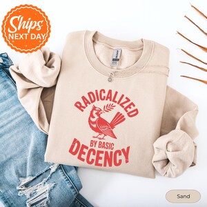 Radicalized By Basic Decency Hoodie, Political Protest Sweater, Feminist Activist Hoodie, Social Justice Sweater, Equality Activist Sweater