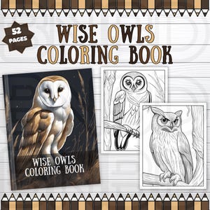 Puede incluir: Un libro para colorear con búhos. La portada muestra un búho marrón y blanco con un fondo oscuro. El título del libro es "Wise Owls Coloring Book" y tiene 52 páginas.