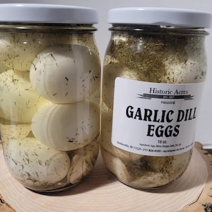 ufs marinés à l&#39;ail et à l&#39;aneth : pot de 16 oz, sans sucre