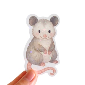 Pegatina para amantes de la zarigüeya, pegatina de vinilo de zarigüeya, pegatina de zarigüeya impermeable, regalo de papelería para amantes de la zarigüeya, zarigüeya impermeable Kawaii Chibi linda