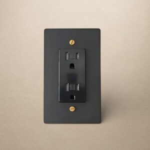 May include: A black electrical socket with a matching faceplate. The socket has two receptacles and a grounding slot. The faceplate is rectangular with rounded corners and is secured with two brass screws.