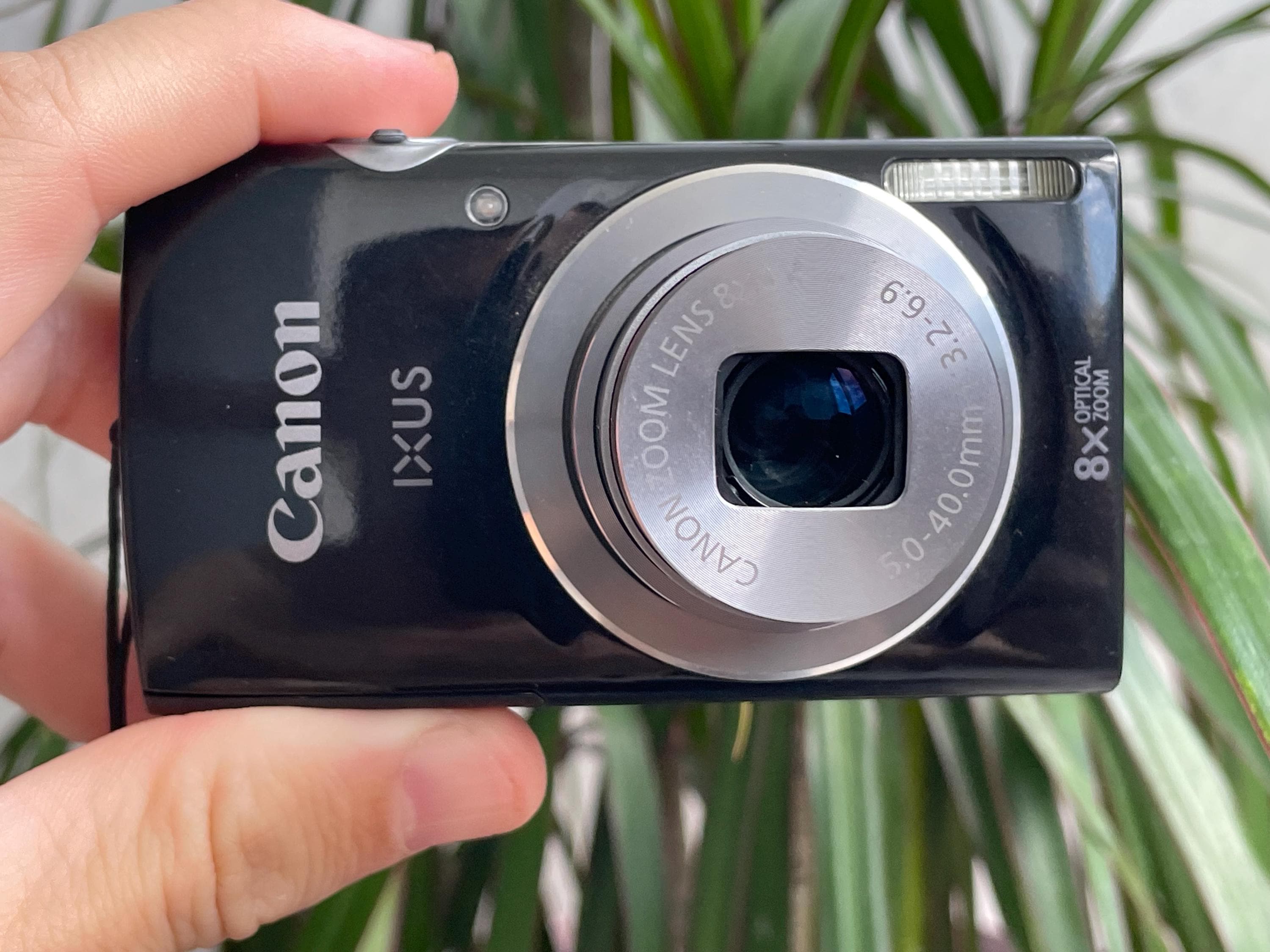 Canon ixus - Etsy 日本