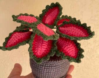 Handmade Crochet Coleus Plant – Vibrant & Everlasting