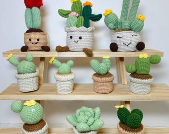 Handmade Crochet Cactus & Succulen. Desk Decor – Low Maintenance Potted Plants