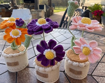 Crochet Daisy Flower Pot / Basket — Handmade Home Décor | Gift for Plant Lovers