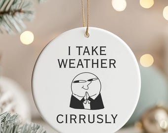 Funny Weather Forecaster Ornament, Meteorologist Decor Meteorology Climatology Student Graduation Gift Xmas Keepsake I Take Weather Cirrusly