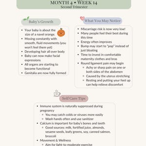 Pu&ograve; includere: Guida informativa per il secondo trimestre, settimana 14, con sezioni sulla crescita del bambino, cosa aspettarsi e consigli per l'autocura. Include dettagli sullo sviluppo fetale, i cambiamenti fisici e il benessere.