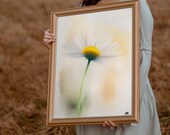 Sweet, Art mural imprimable, décoration murale dessin illustration moderne et contemporaine qui donne du  caractère à votre maison