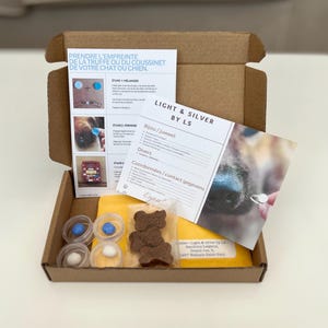 Pode incluir: Uma caixa de cartão castanho com uma folha de instruções branca e azul, um pequeno saco de guloseimas para cães, dois pequenos recipientes com argila azul e branca e uma fotografia do nariz de um cão com um anel de nariz prateado. A caixa está etiquetada "Light & Silver by LS".