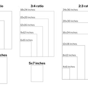 May include: Diagram showing various rectangular sizes in inches, grouped by aspect ratio: 4:5, 3:4, and 2:3. Sizes include 16x20, 12x15, 8x10, 4x5, 18x24, 15x20, 12x16, 9x12, 6x8, 24x36, 20x30, 16x24, 12x18, 8x12, and 4x6 inches. Also shown are 11x14 and 5x7 inches.