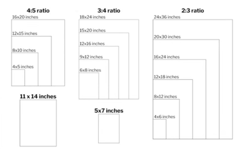 May include: Diagram showing various rectangular sizes in inches, grouped by aspect ratio: 4:5, 3:4, and 2:3. Sizes include 16x20, 12x15, 8x10, 4x5, 18x24, 15x20, 12x16, 9x12, 6x8, 24x36, 20x30, 16x24, 12x18, 8x12, and 4x6 inches. Also shown are 11x14 and 5x7 inches.