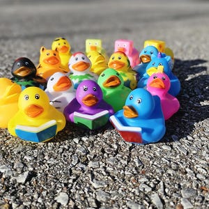Bulk Assorted Ducks for Jeeps, Desktop toys, Bulk Ducks, collectable ducks. Ducking!