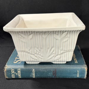 Może przedstawiać: Biała, kwadratowa ceramiczna donica z żebrowanym wzorem i akcentami liści. Donica stoi na zabytkowej niebieskiej książce. Donica ma około 15 cm szerokości i 10 cm wysokości.