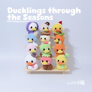 May include: A display of crocheted ducklings, each adorned with seasonal accessories. The ducklings are arranged on a wooden shelf, showcasing various colors and designs, including a Santa hat, a pumpkin, and a floral crown. The text "Ducklings through the Seasons" is at the top.