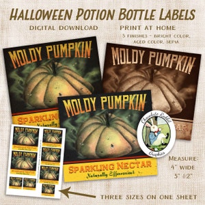 Halloween Pumpkin Potion Bottle Label, Party Decoration Clip Art, Digital Download