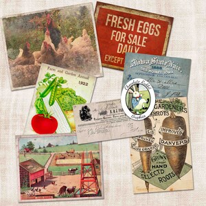 May include: A collage of vintage images related to farming and gardening. The top image shows a group of chickens in a green field. The bottom left image shows a farm scene with a red barn and a well. The bottom right image shows a packet of seeds for improved Danvers carrots. The text on the images includes "Farm and Garden Annual 1922", "Fresh Eggs For Sale Daily", "Iowa State Fair 1888", "Chocolate Rabbit Graphics", and "The Gardeners Carrots".