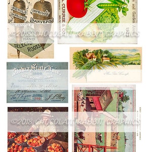 May include: A collection of vintage images featuring farm and garden scenes. The images include a packet of seed for market gardeners carrots, a packet of seed for improved Danvers carrots, a packet of seed for improved Nichols long orange carrots, a packet of seed for A. Currie & Co.  currie, a vintage postcard of a farm scene, a vintage postcard of a farm scene with a red barn, a vintage ticket for the Iowa State Fair, and a vintage photo of a man picking peaches.
