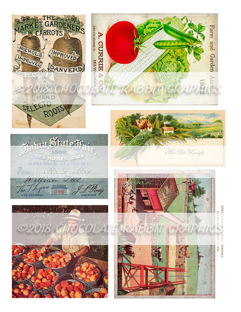May include: A collection of vintage images featuring farm and garden scenes. The images include a packet of seed for market gardeners carrots, a packet of seed for improved Danvers carrots, a packet of seed for improved Nichols long orange carrots, a packet of seed for A. Currie & Co.  currie, a vintage postcard of a farm scene, a vintage postcard of a farm scene with a red barn, a vintage ticket for the Iowa State Fair, and a vintage photo of a man picking peaches.