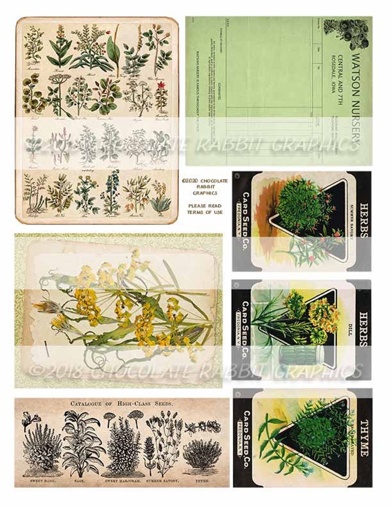 Printable Floral Scrapbook Set of 20 Herb Junk Journal Herbs and Flowers Vintage Garden Herbal Ephemera